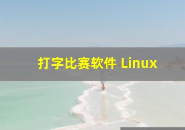 打字比赛软件 Linux